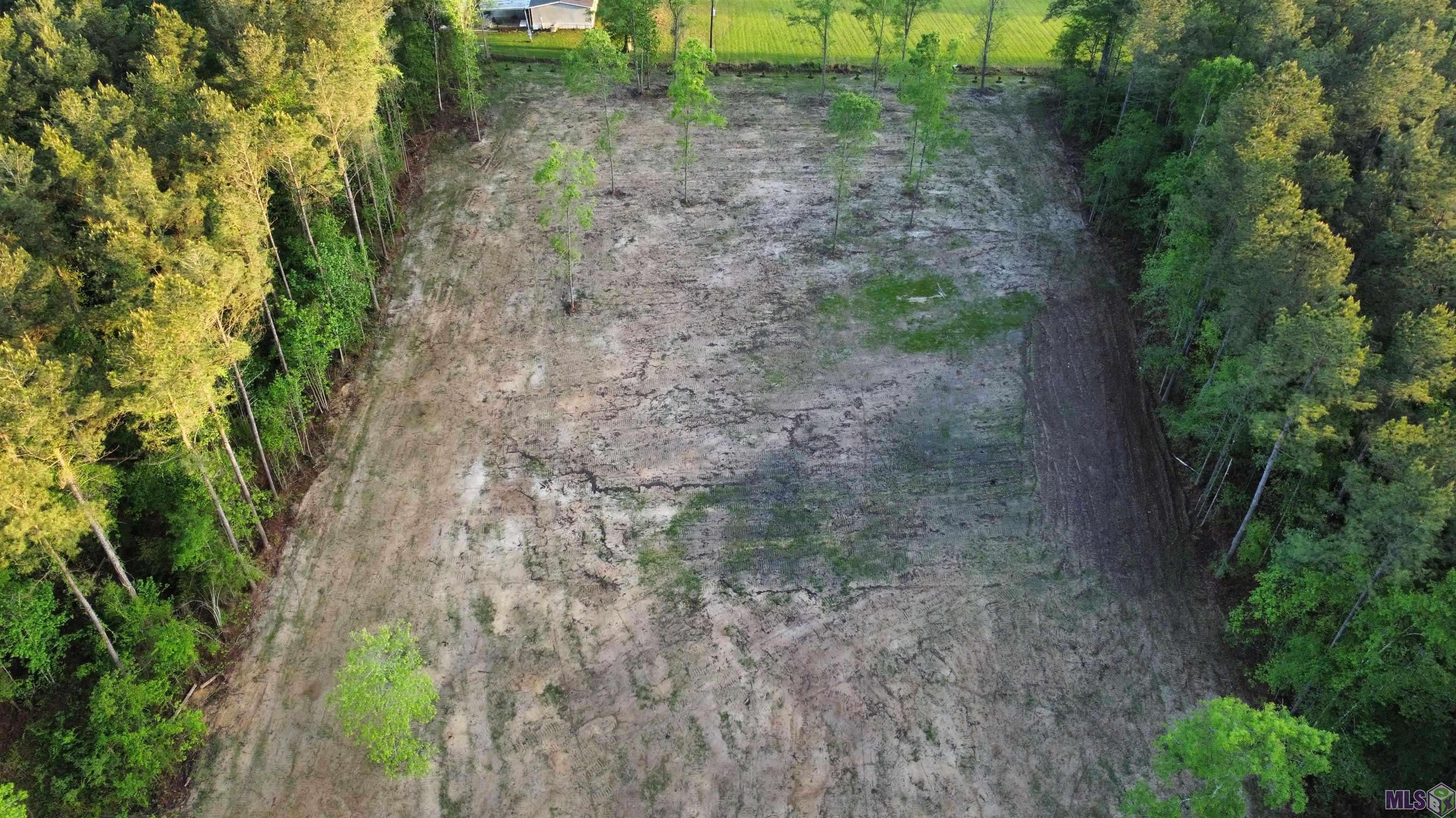 21154 Butterbean Ridge Livingston, LA 70754 - Photo 1 of 7 Gallery Image 1