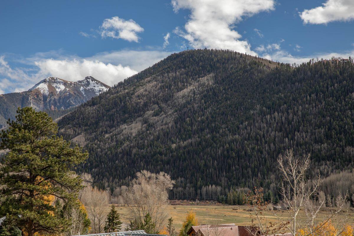 Lot 19 North Sunset Ridge Drive Telluride, CO 81435 - Photo 10 of 10 photo_offline_005