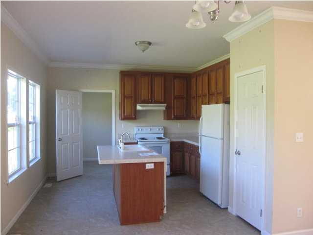 2859 Jones Swamp Road Walterboro, SC 29488 - Photo 3 of 4 Additional Photo