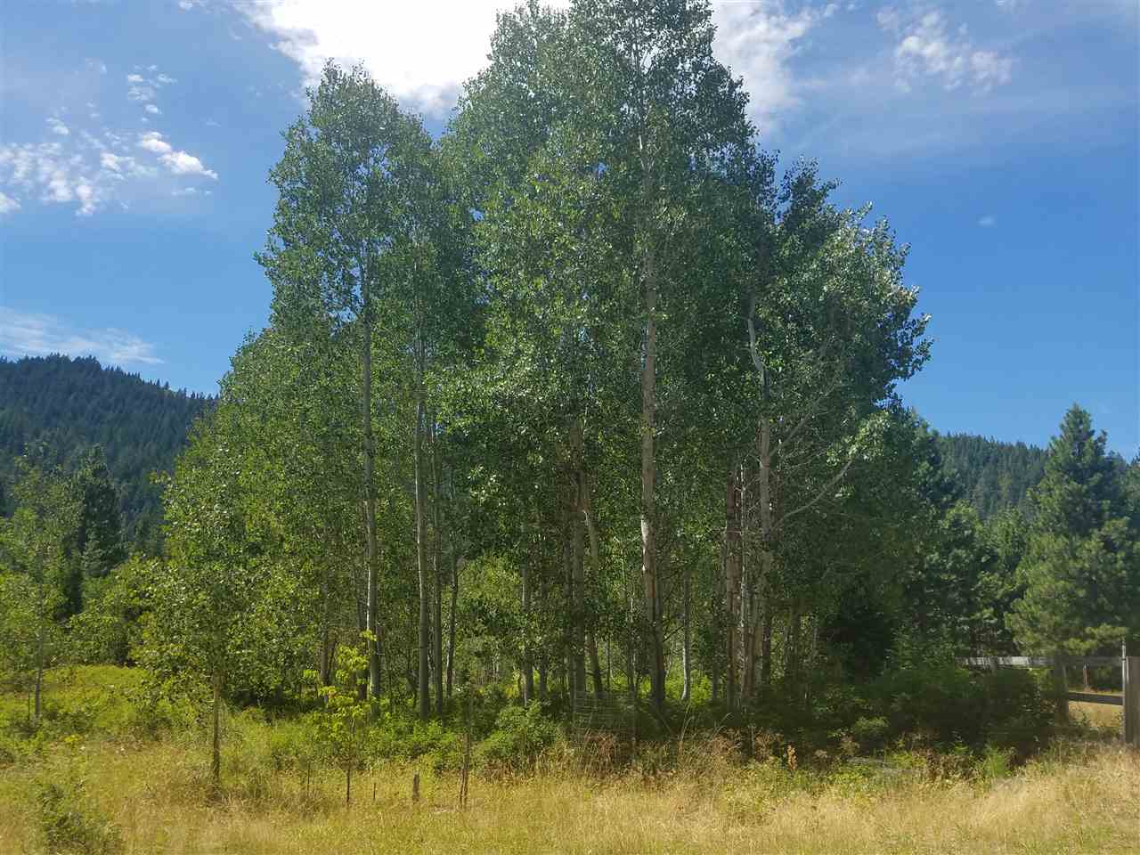 Weston Road Mount Shasta, CA 96067 - Photo 9 of 13 Gallery Image 9