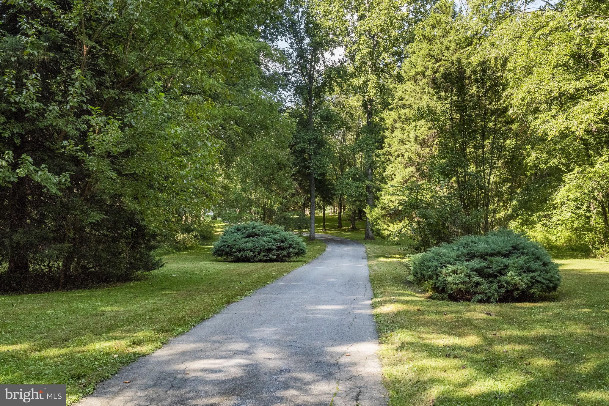 5229 Griffith Road Gaithersburg, MD 20882 - Photo 6 of 65