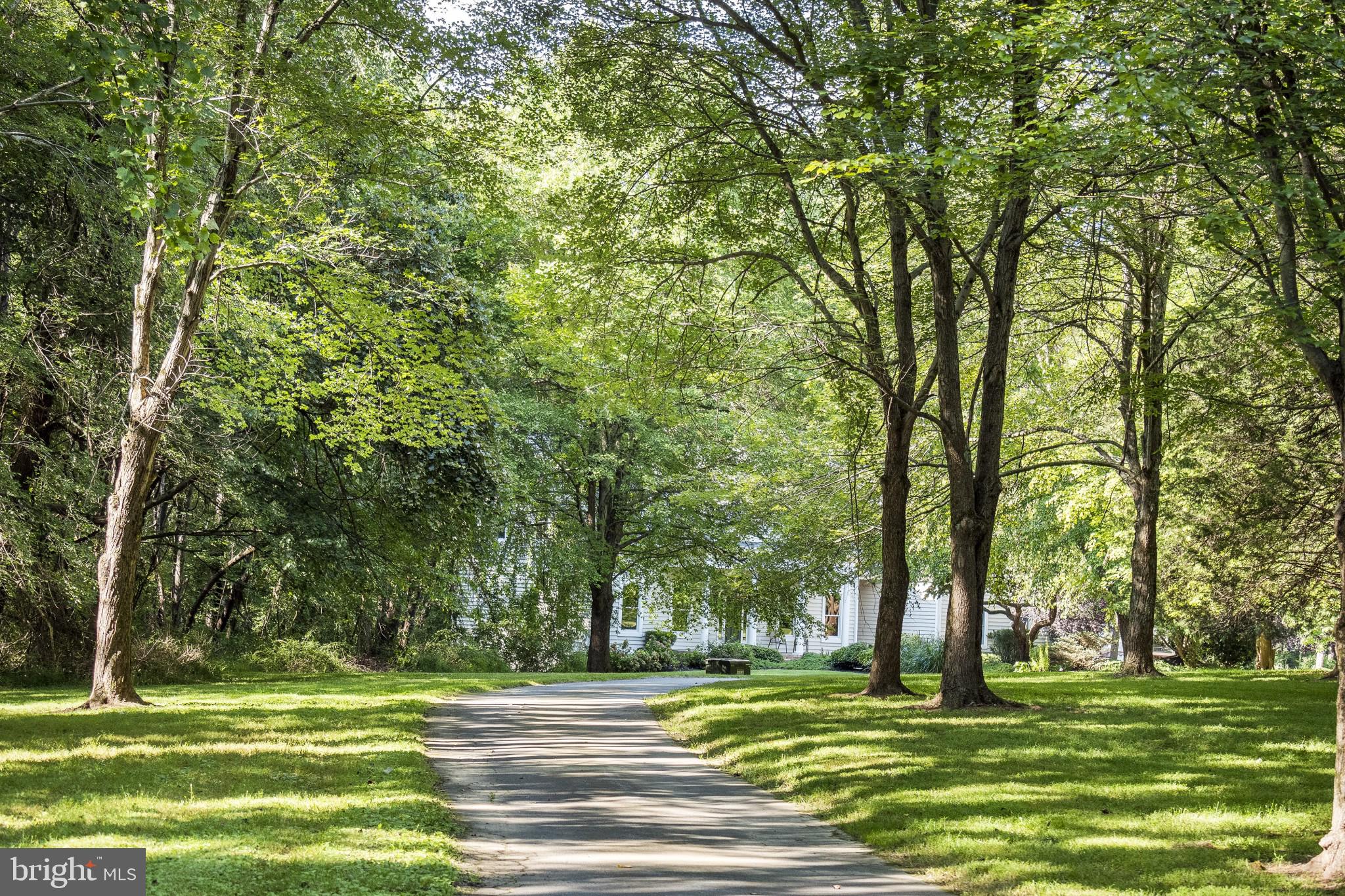 5229 Griffith Road Gaithersburg, MD 20882 - Photo 8 of 65