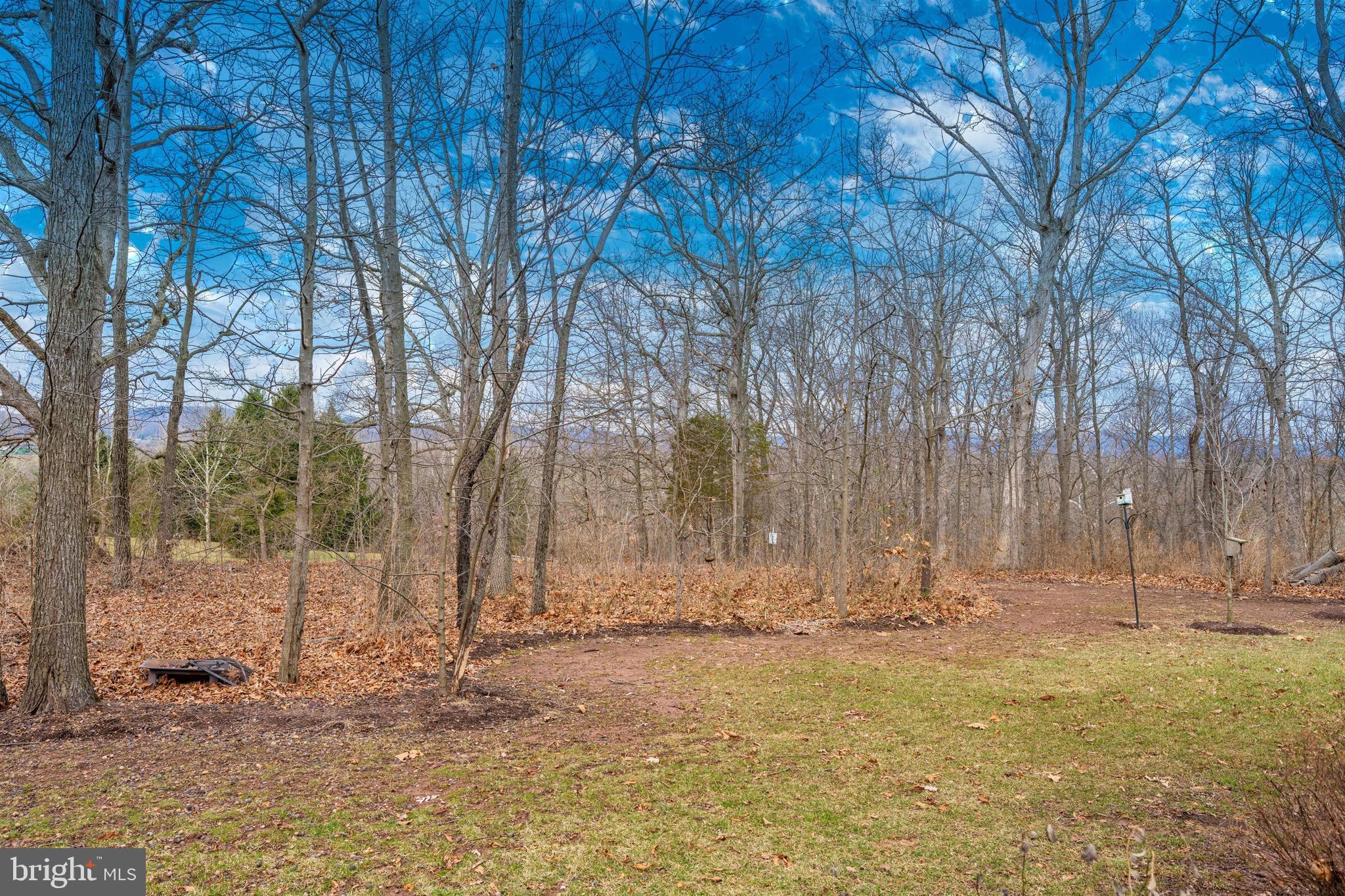 5813 Elmer Derr Road Frederick, MD 21703 - Photo 36 of 38 Winter view