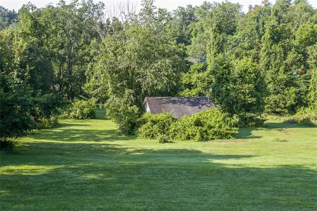 a view of a garden with an outdoor space