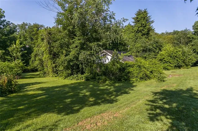 a view of a trees with a yard