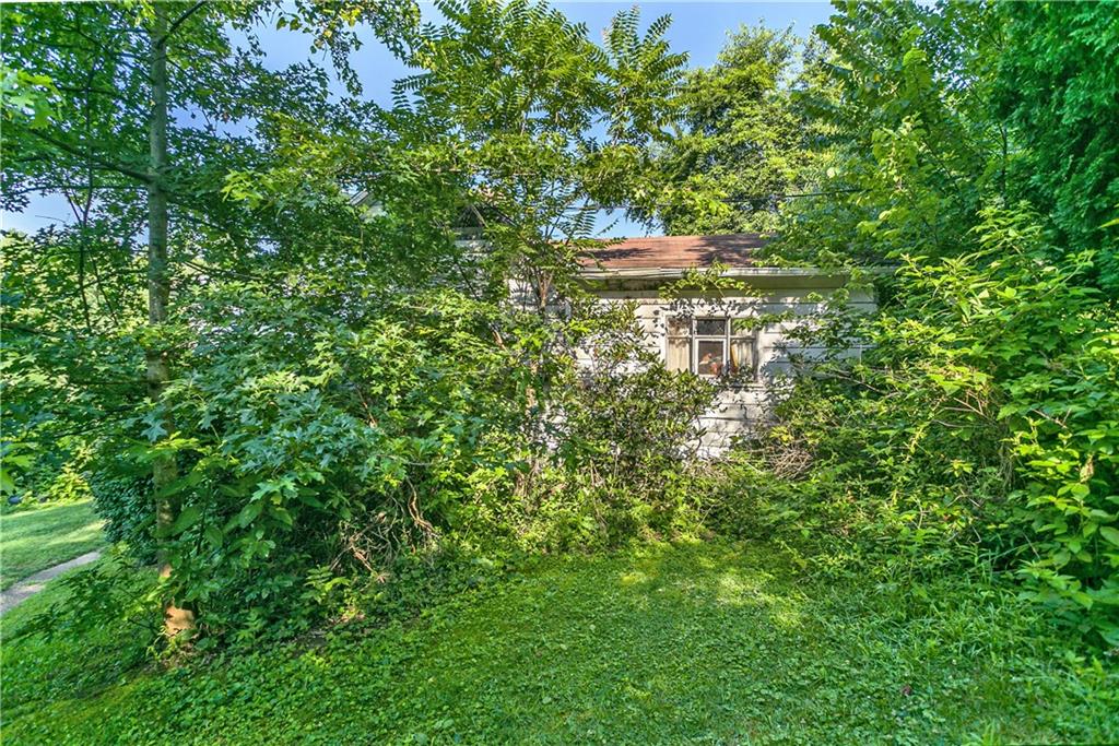 354 Wickhaven Road Wickhaven, PA 15492 - Photo 10 of 19 a view of a tree