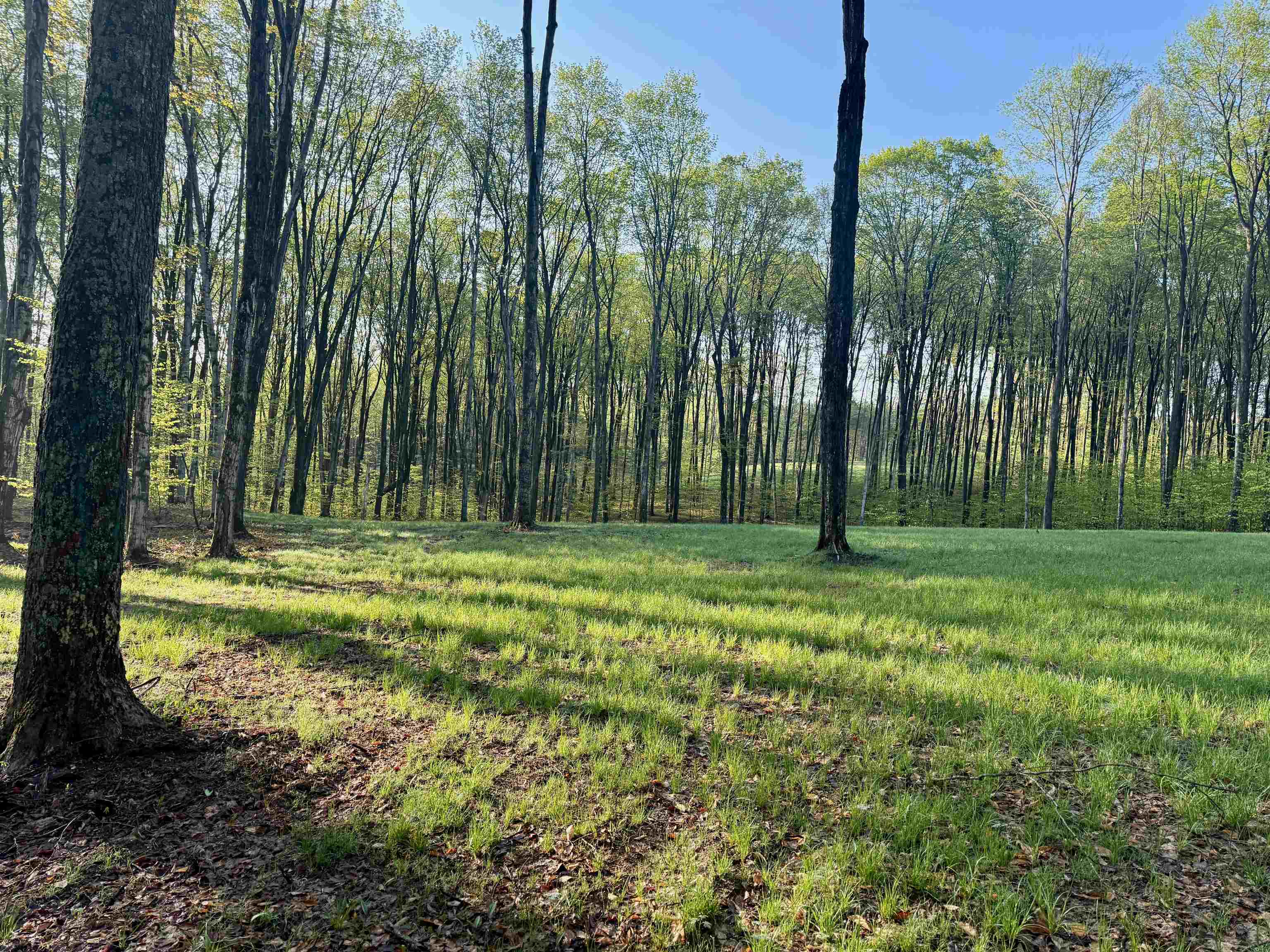 2 South Bright Road, Unit LOT: 2 Maple City, MI 49664 - Photo 2 of 13