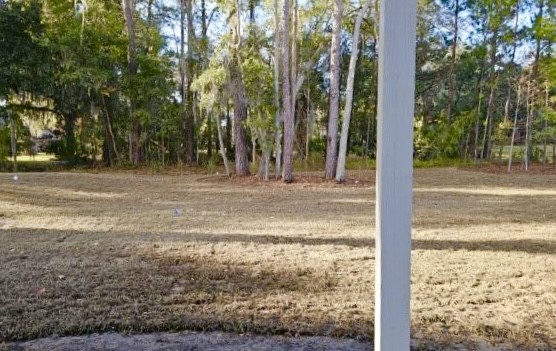 162 Old Wharf Road Brunswick, GA 31523 - Photo 11 of 24 Private spacious backyard