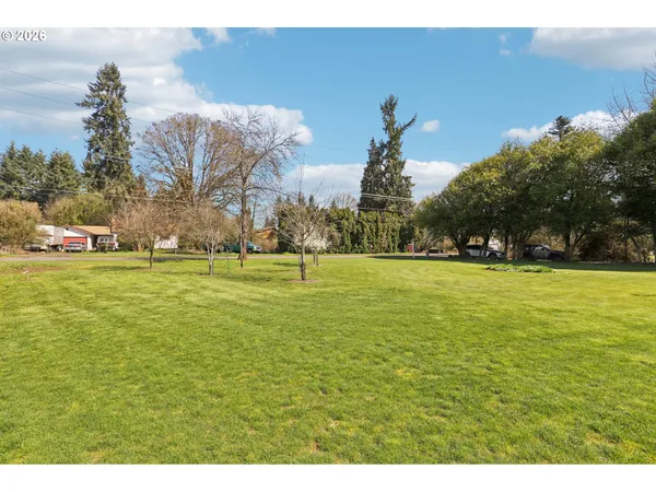 a view of yard with tree and outdoor seating