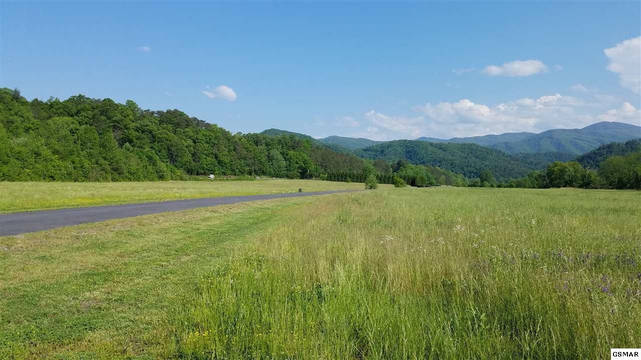 10 River Rpds Way Del Rio, TN 37727 - Photo 5 of 16 Gallery Image 5