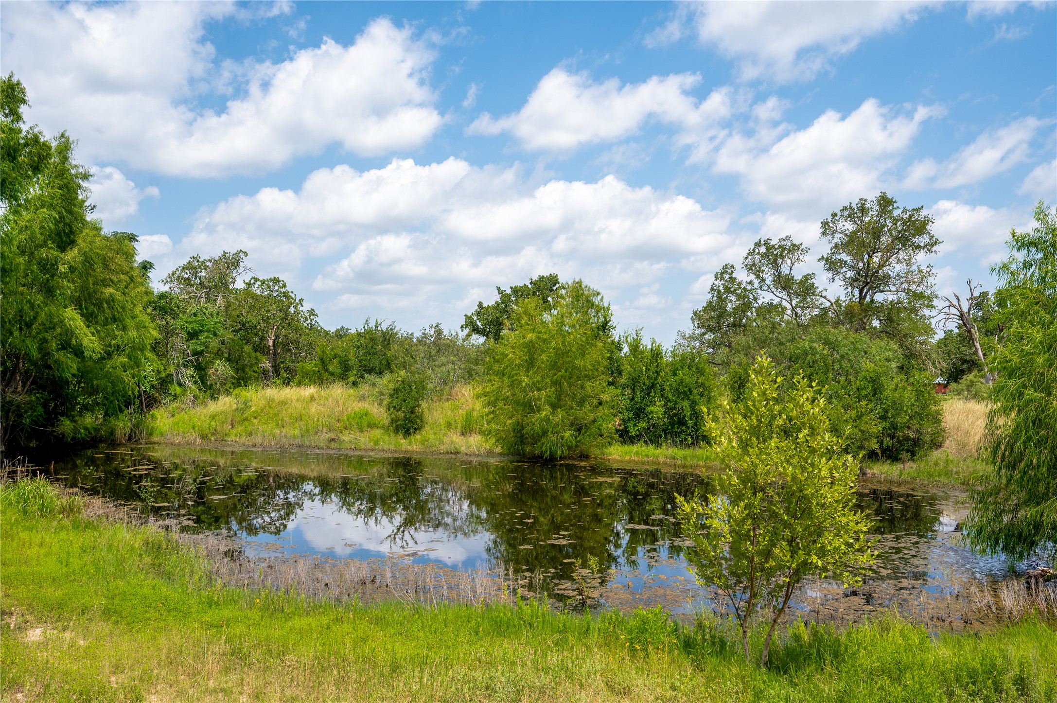 270 Dry Creek Road Manor, TX 78653 - Photo 39 of 40 Gently rippling water reflects a serene, open sky, surrounded by verdant foliage and natural grassland.