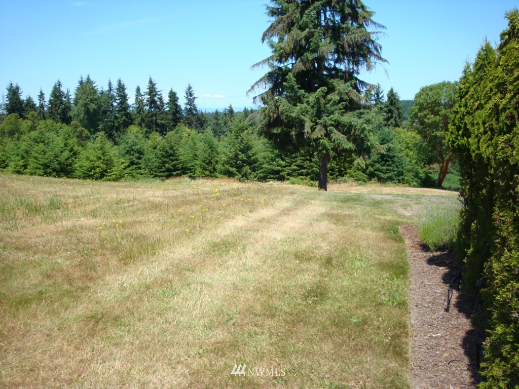 145 John Jacobs Road Port Angeles, WA 98362 - Photo 4 of 25
