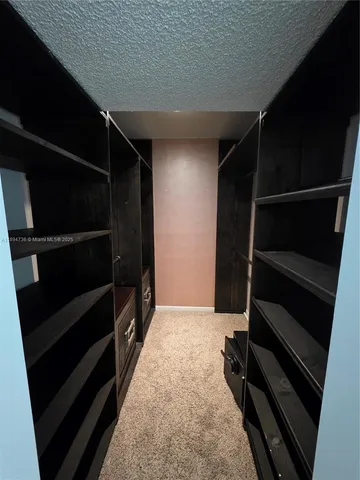 a view of walk in closet