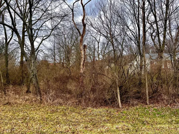 $21,000 | 467 Ridgeland Drive, Howard, OH 43028