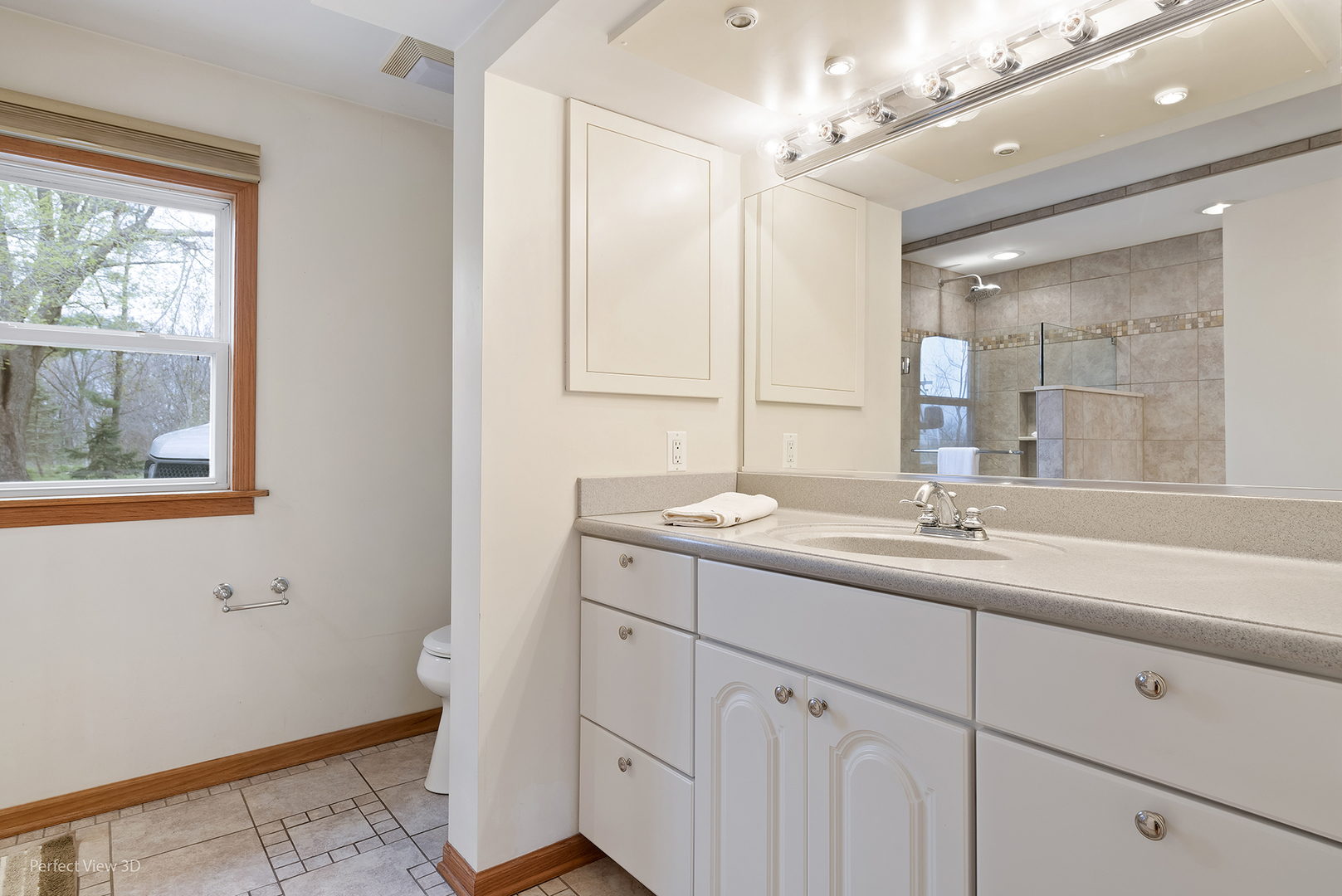 2580 Van Dyke Road Minooka, IL 60447 - Photo 12 of 32 a bathroom with a sink and a mirror