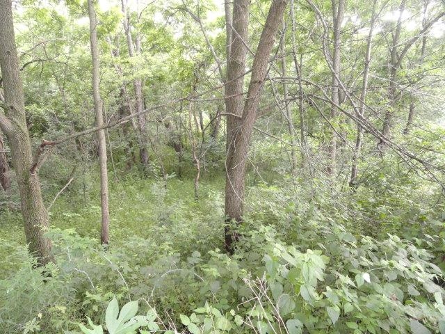 Lt 9 Cardinal Crest Lane New Glarus, WI 53574 - Photo 23 of 64