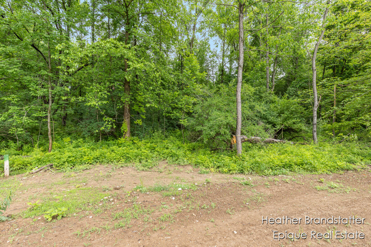 6225 Wilden Ridge Drive Ada, MI 49301 - Photo 4 of 9 Gallery Image 4