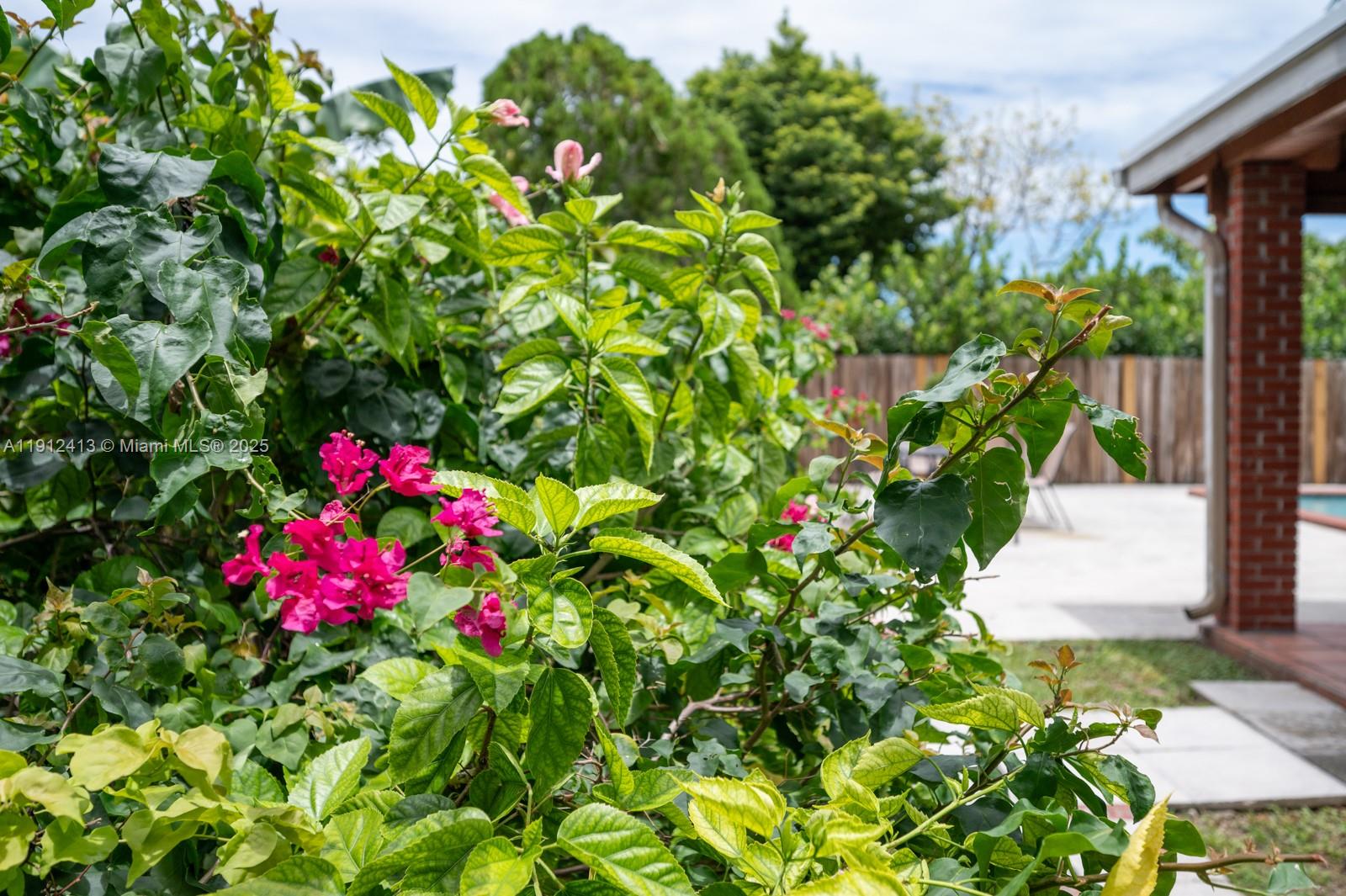 4235 Southwest 97th Avenue Miami, FL 33165 - Photo 17 of 21 a view of a flower in a garden with flowers