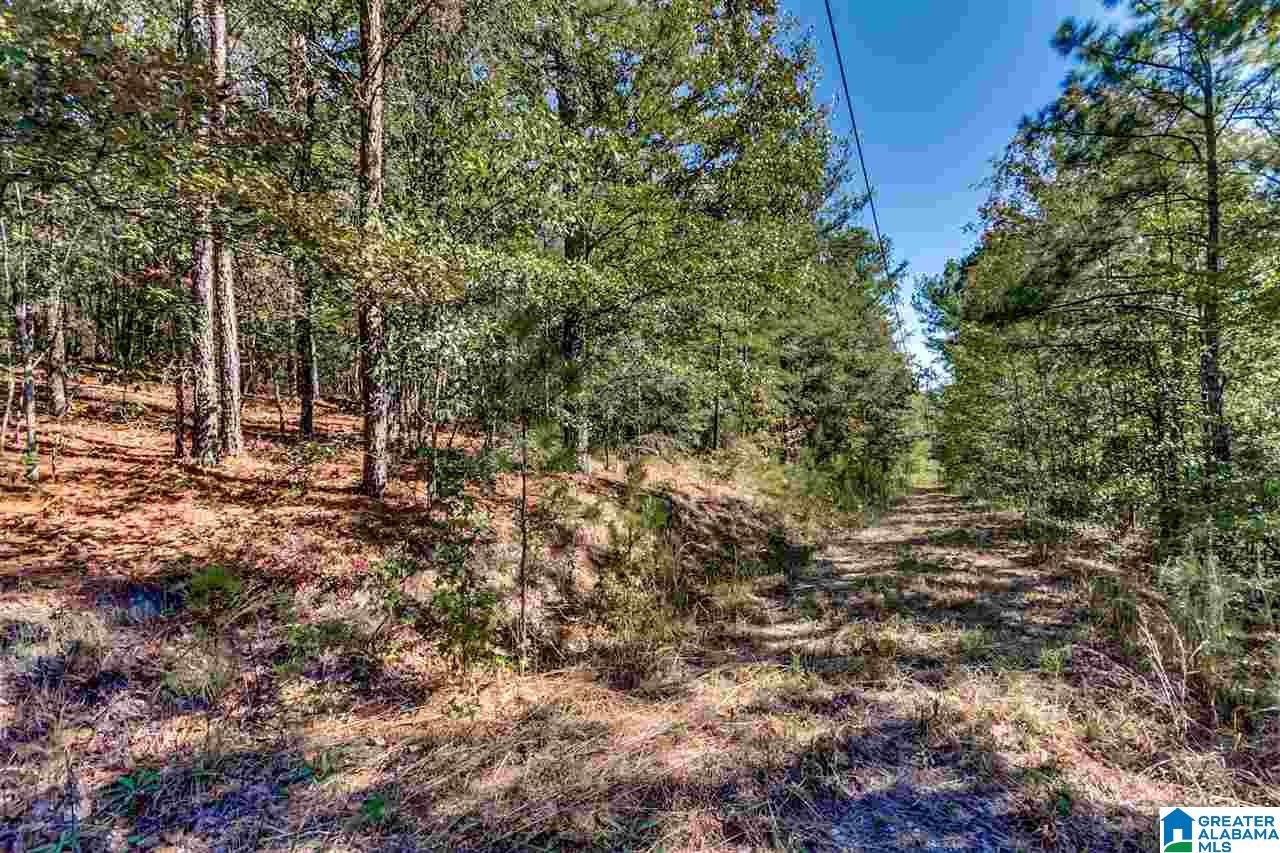 384 Wolf Pond Road, Unit 1 Talladega, AL 35160 - Photo 6 of 26