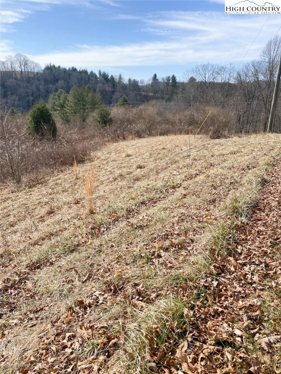 Lot #32 Riverside Drive Sparta, NC 28675 - Photo 3 of 6 Gallery Image 3