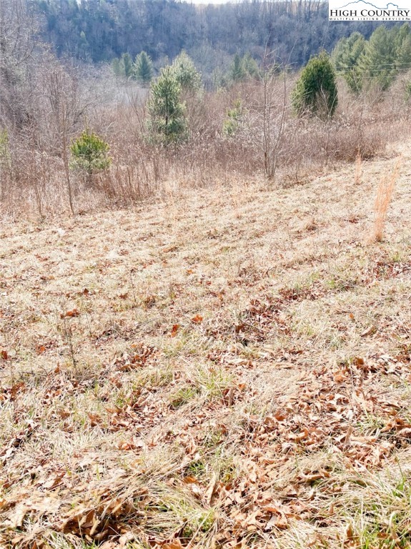 Lot #32 Riverside Drive Sparta, NC 28675 - Photo 4 of 6 Gallery Image 4