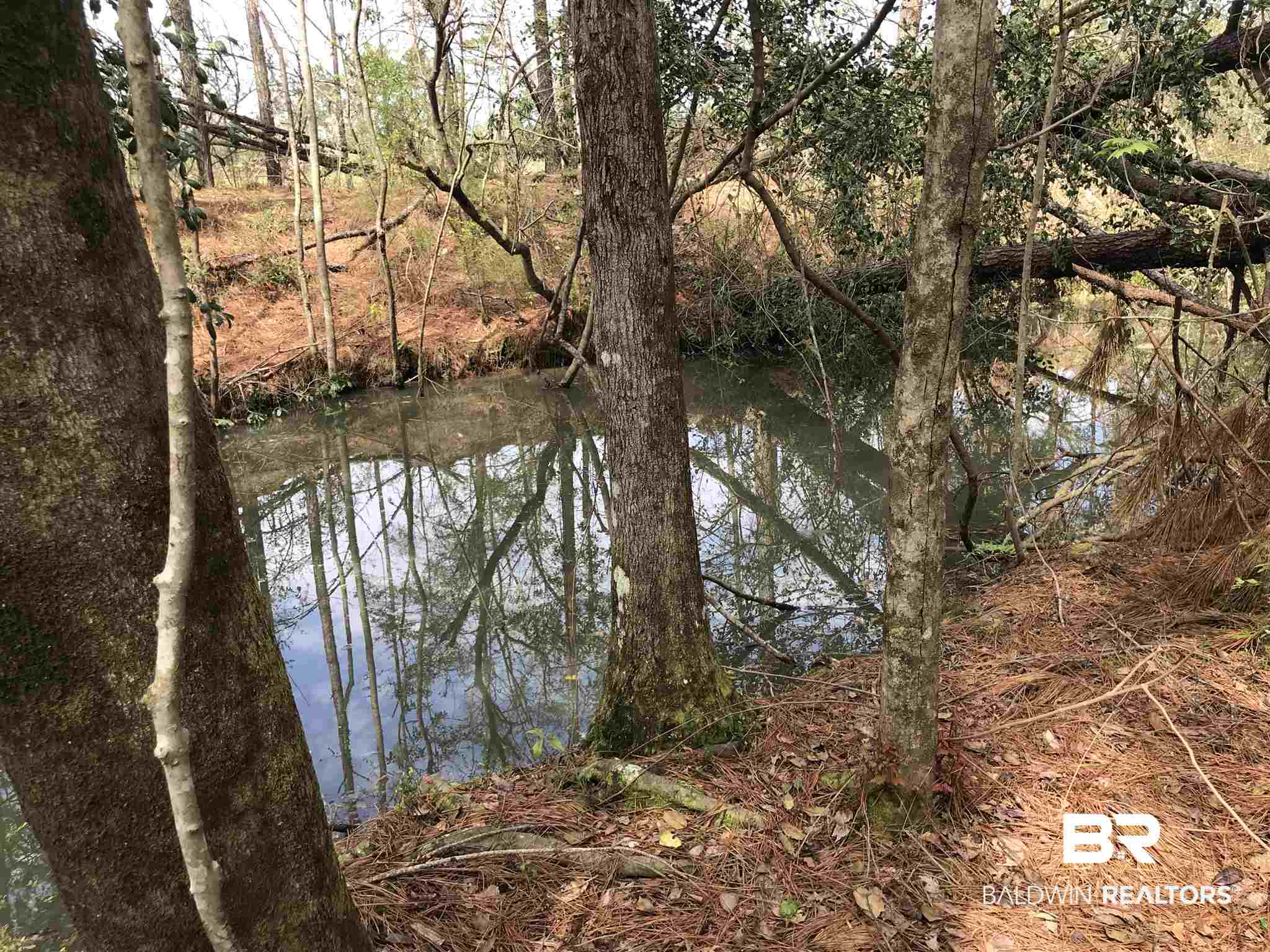 0 County Road 39 Stapleton, AL 36578 - Photo 3 of 18 Gallery Image 3