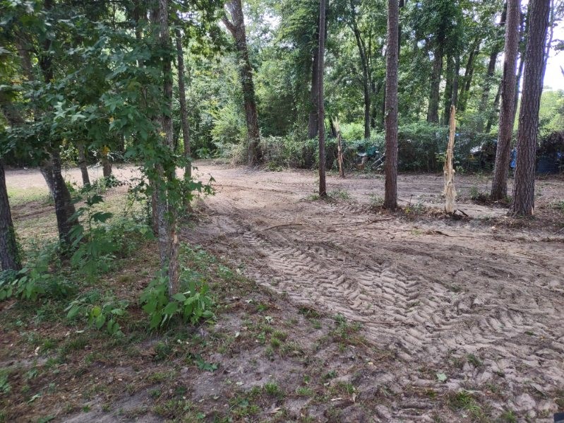 3035 Old Colony Road Huntsville, TX 77320 - Photo 1 of 7 a view of a forest with trees in the background
