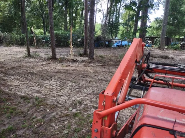 a view of a yard with trees