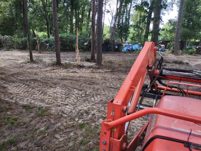 3035 Old Colony Road Huntsville, TX 77320 - Photo 2 of 7 a view of a yard with trees