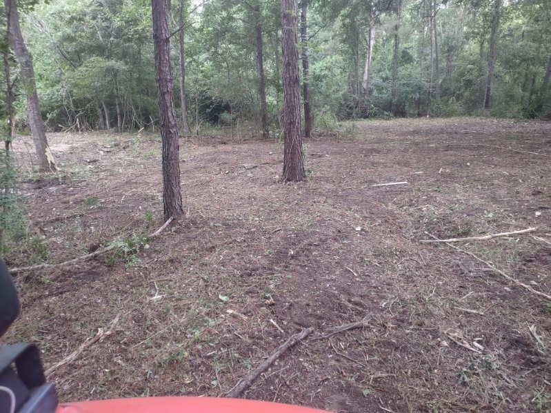 3035 Old Colony Road Huntsville, TX 77320 - Photo 3 of 7 a view of a forest with trees in the background