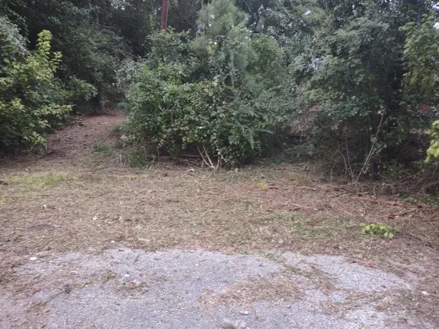a view of a dry yard with trees