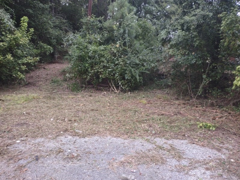 3035 Old Colony Road Huntsville, TX 77320 - Photo 6 of 7 a view of a dry yard with trees