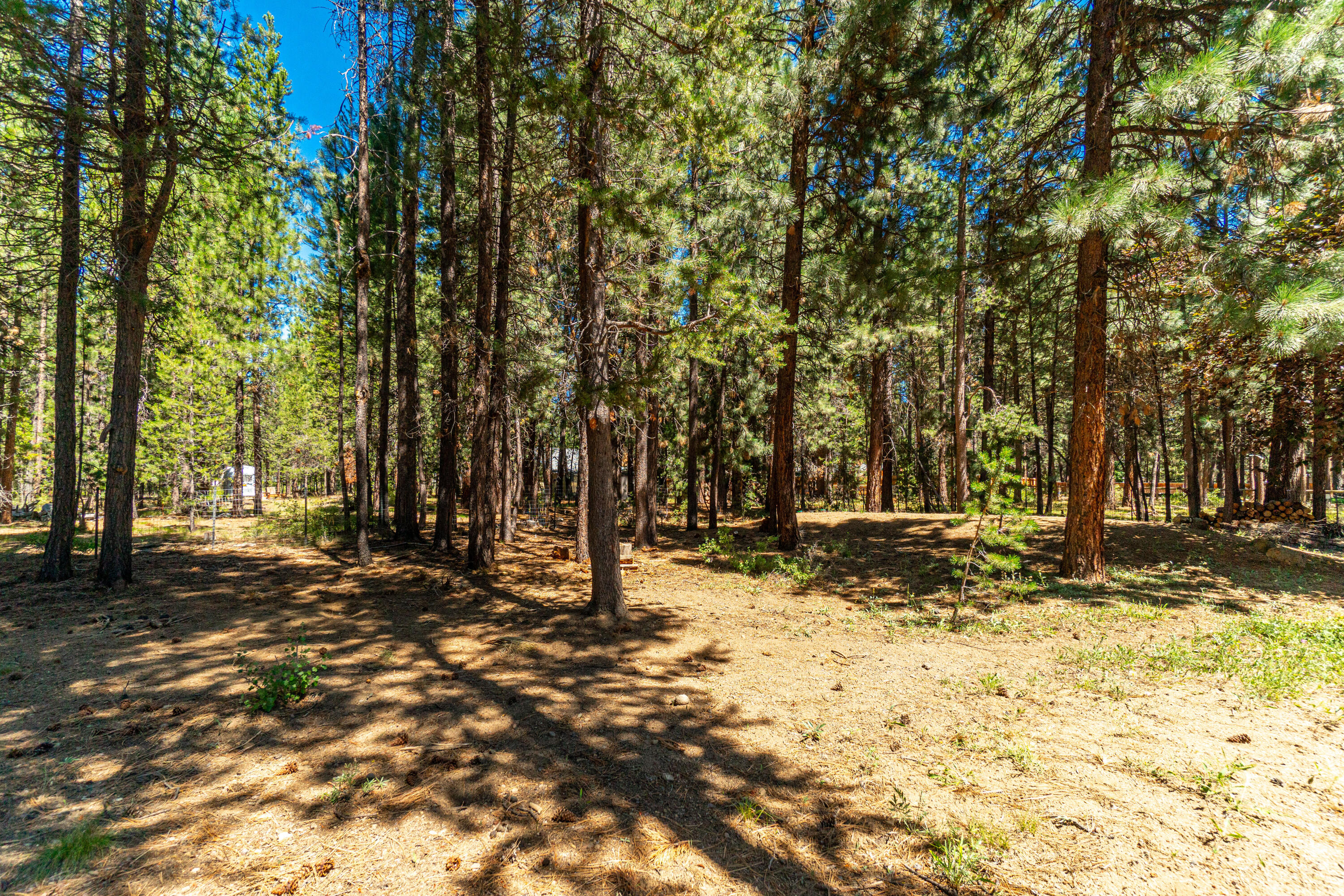16940 Jacinto Road Bend, OR 97707 - Photo 24 of 26 RileyVisuals-12