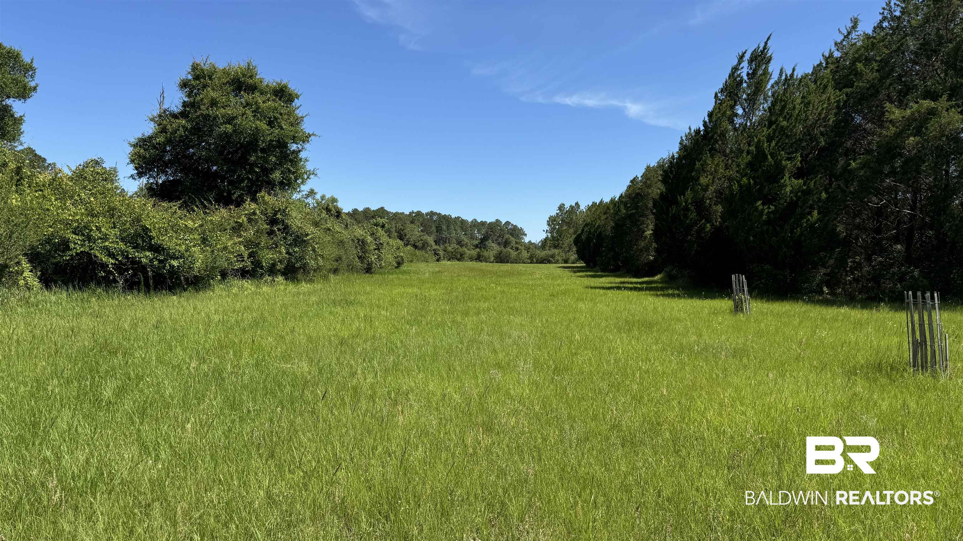 0 County Road 87 Elberta, AL 36530 - Photo 25 of 46