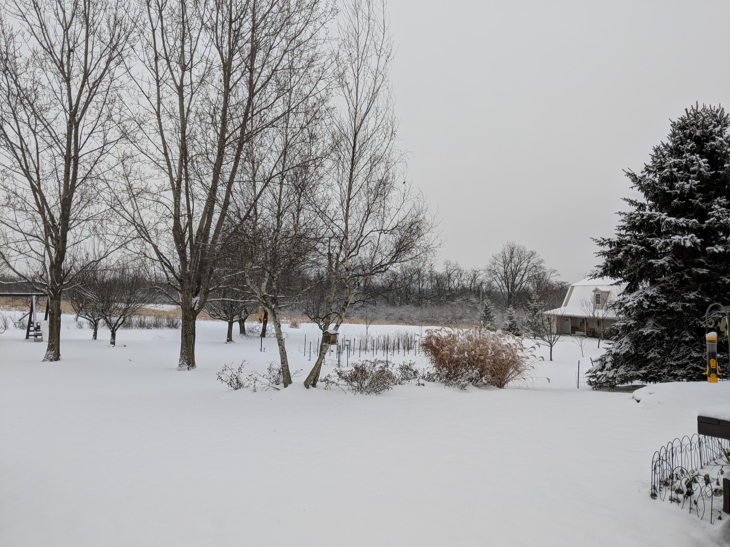 5202 Flatfoot Road Cable, OH 43009 - Photo 46 of 81