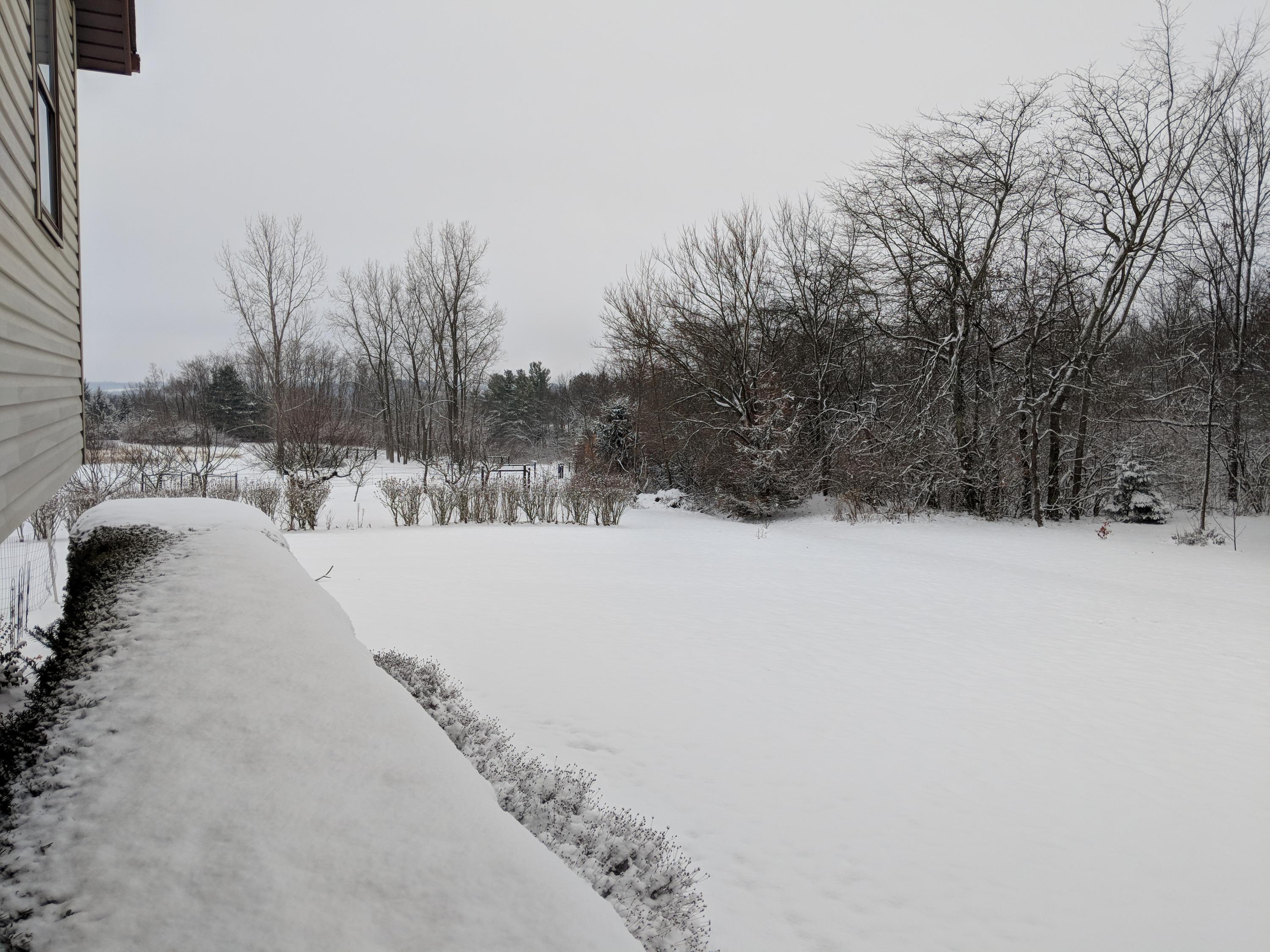 5202 Flatfoot Road Cable, OH 43009 - Photo 50 of 81
