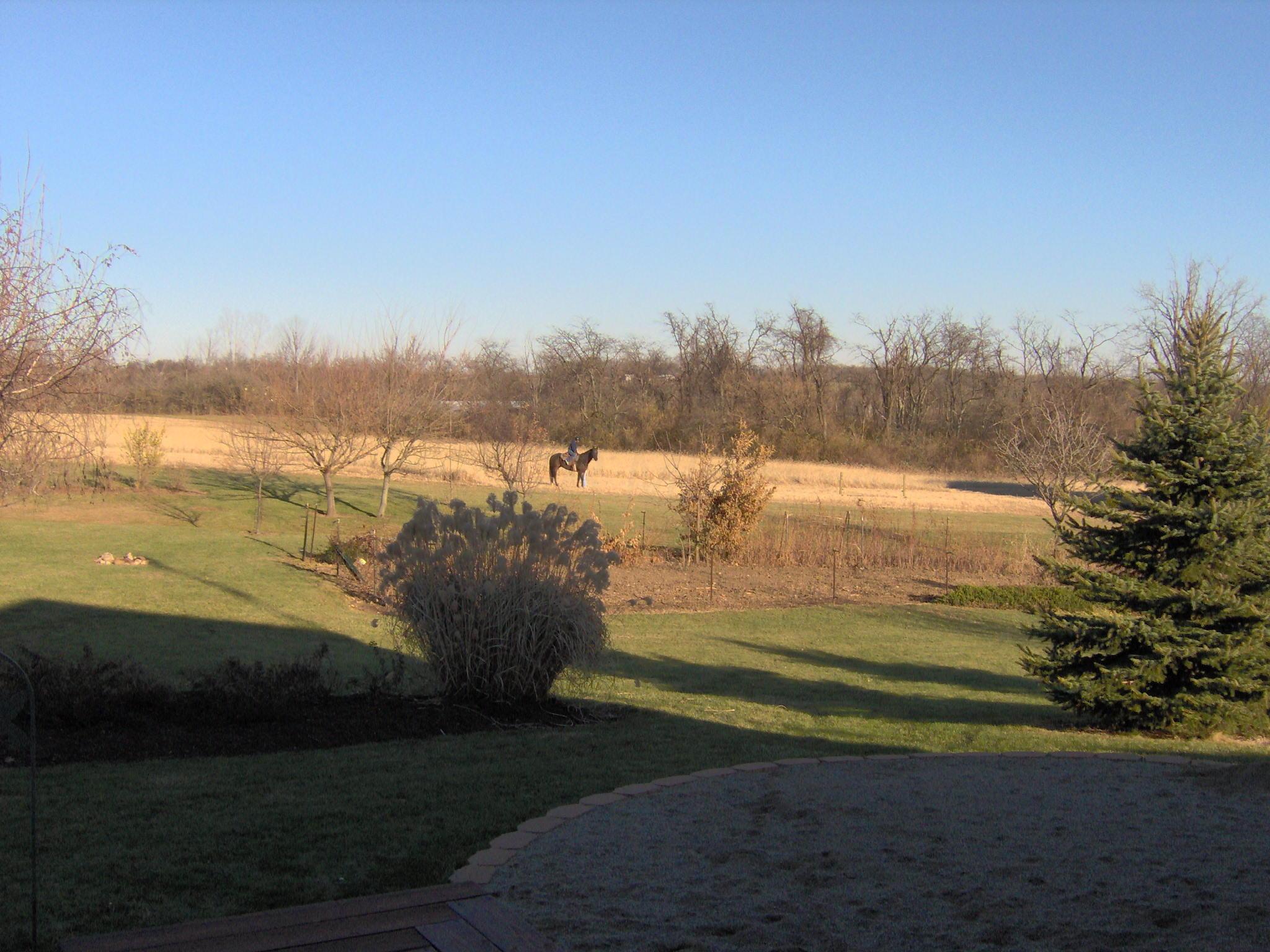 5202 Flatfoot Road Cable, OH 43009 - Photo 60 of 81