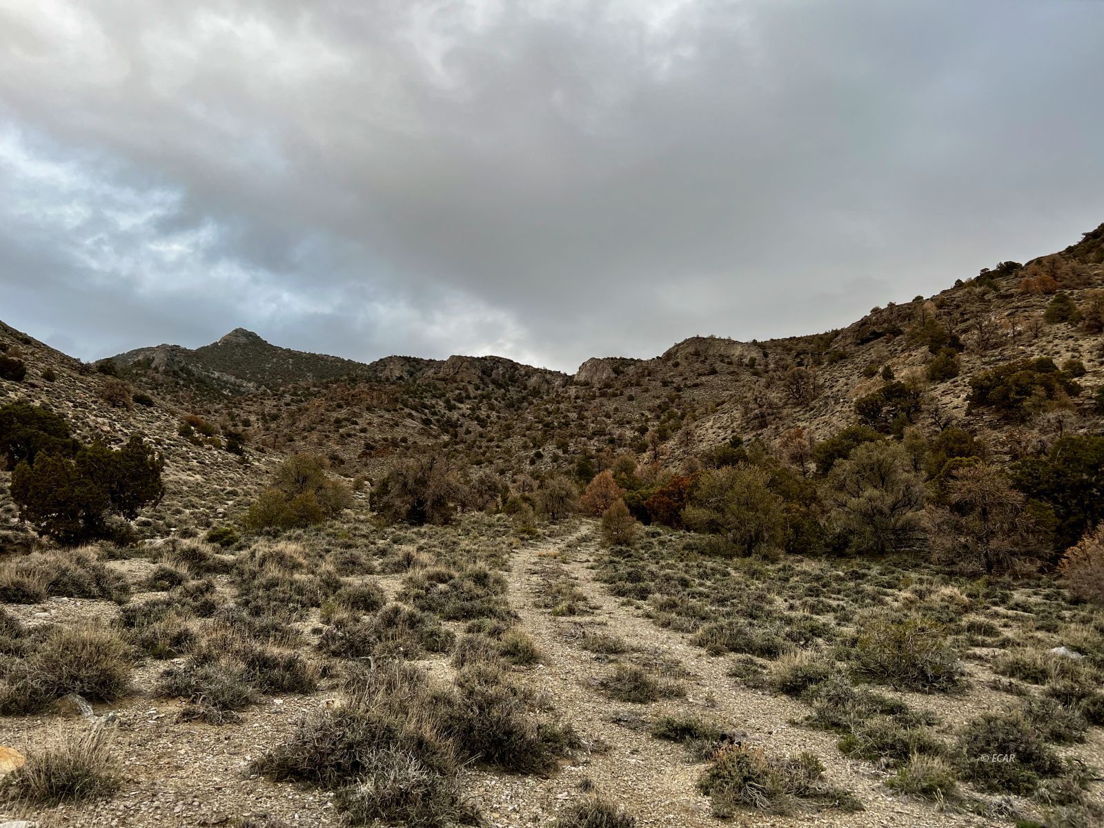 Na Ridge Montello, NV 89830 - Photo 5 of 25