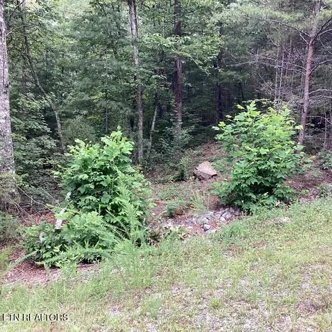 $120,000 | 514 Percussion Court, Walland, TN 37886