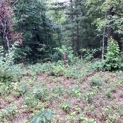 $120,000 | 514 Percussion Court, Walland, TN 37886