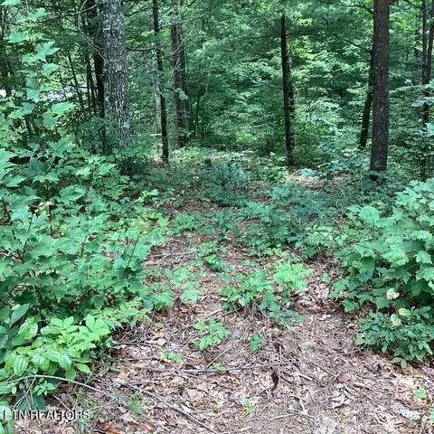 $120,000 | 514 Percussion Court, Walland, TN 37886