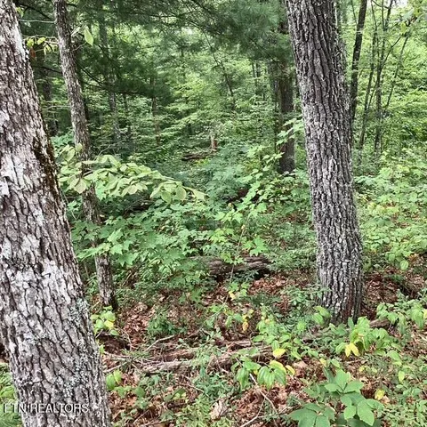 $120,000 | 514 Percussion Court, Walland, TN 37886