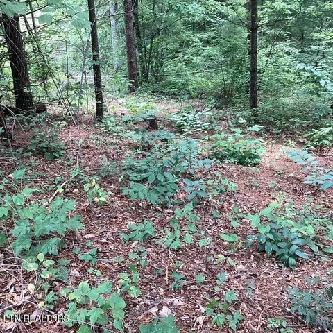 $120,000 | 514 Percussion Court, Walland, TN 37886