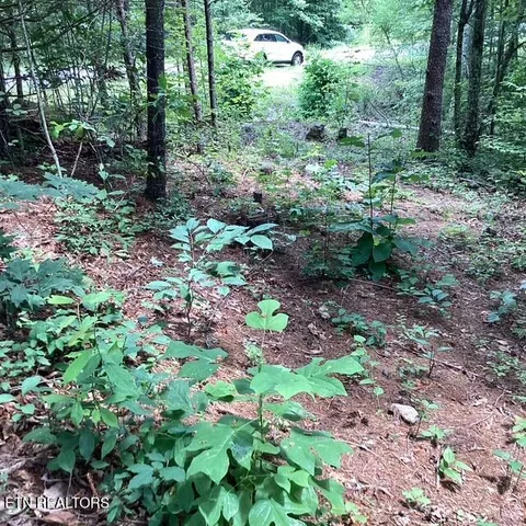 $120,000 | 514 Percussion Court, Walland, TN 37886