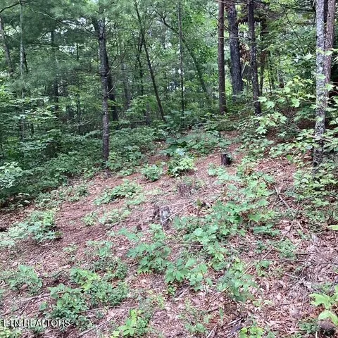 $120,000 | 514 Percussion Court, Walland, TN 37886