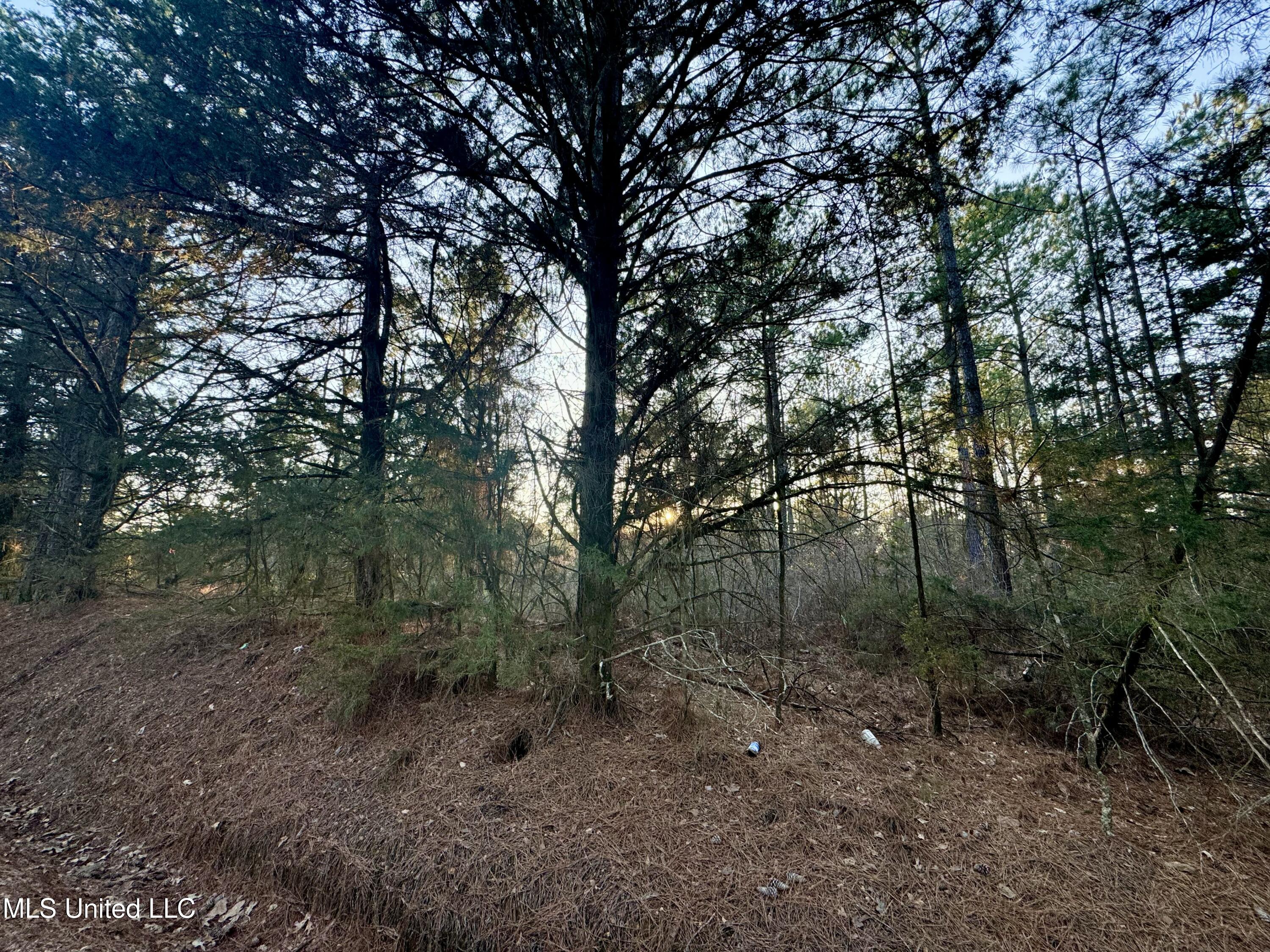 1113 County Road Kosciusko, MS 39090 - Photo 2 of 8 IMG_1124