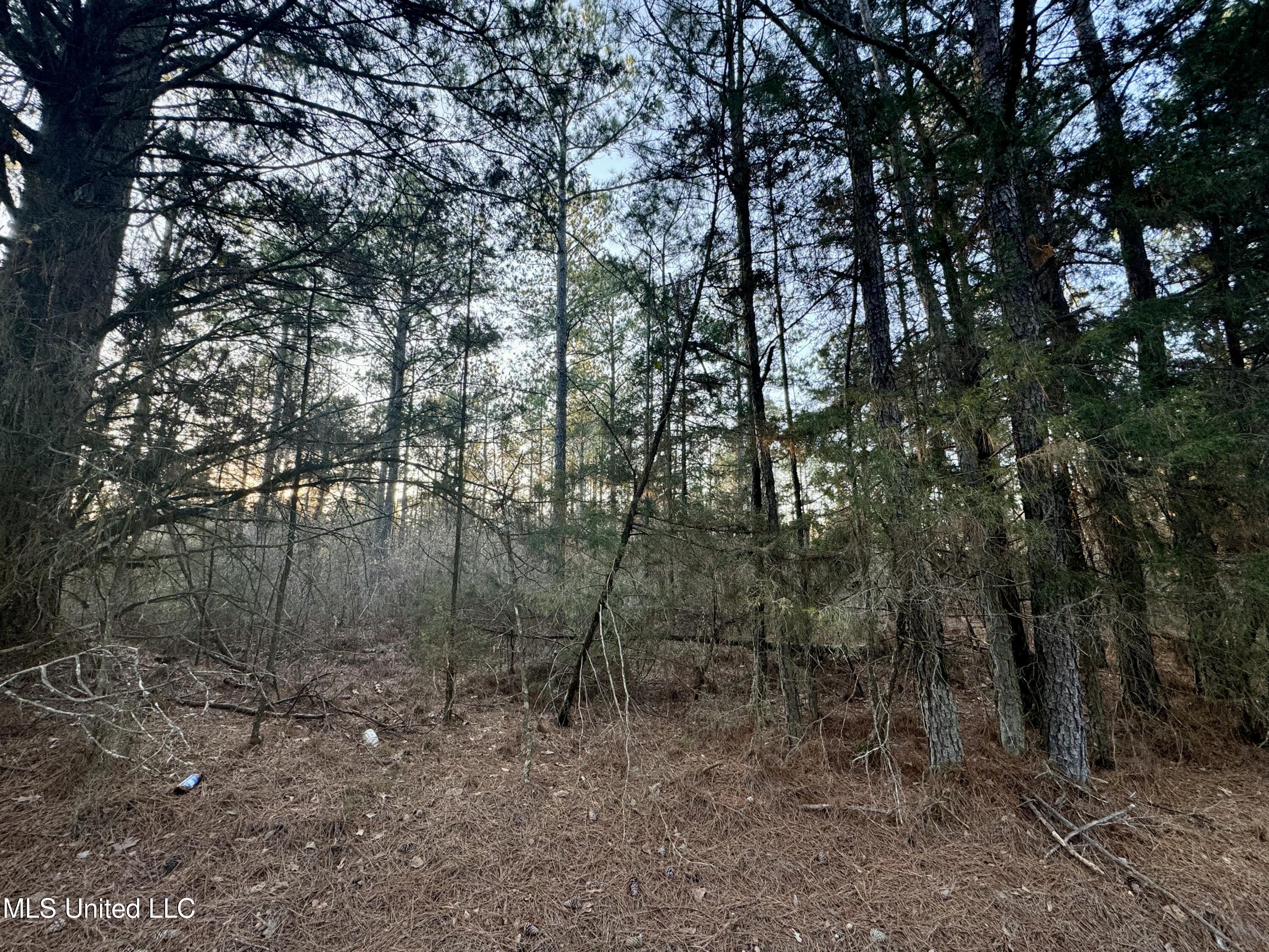 1113 County Road Kosciusko, MS 39090 - Photo 3 of 8 IMG_1125