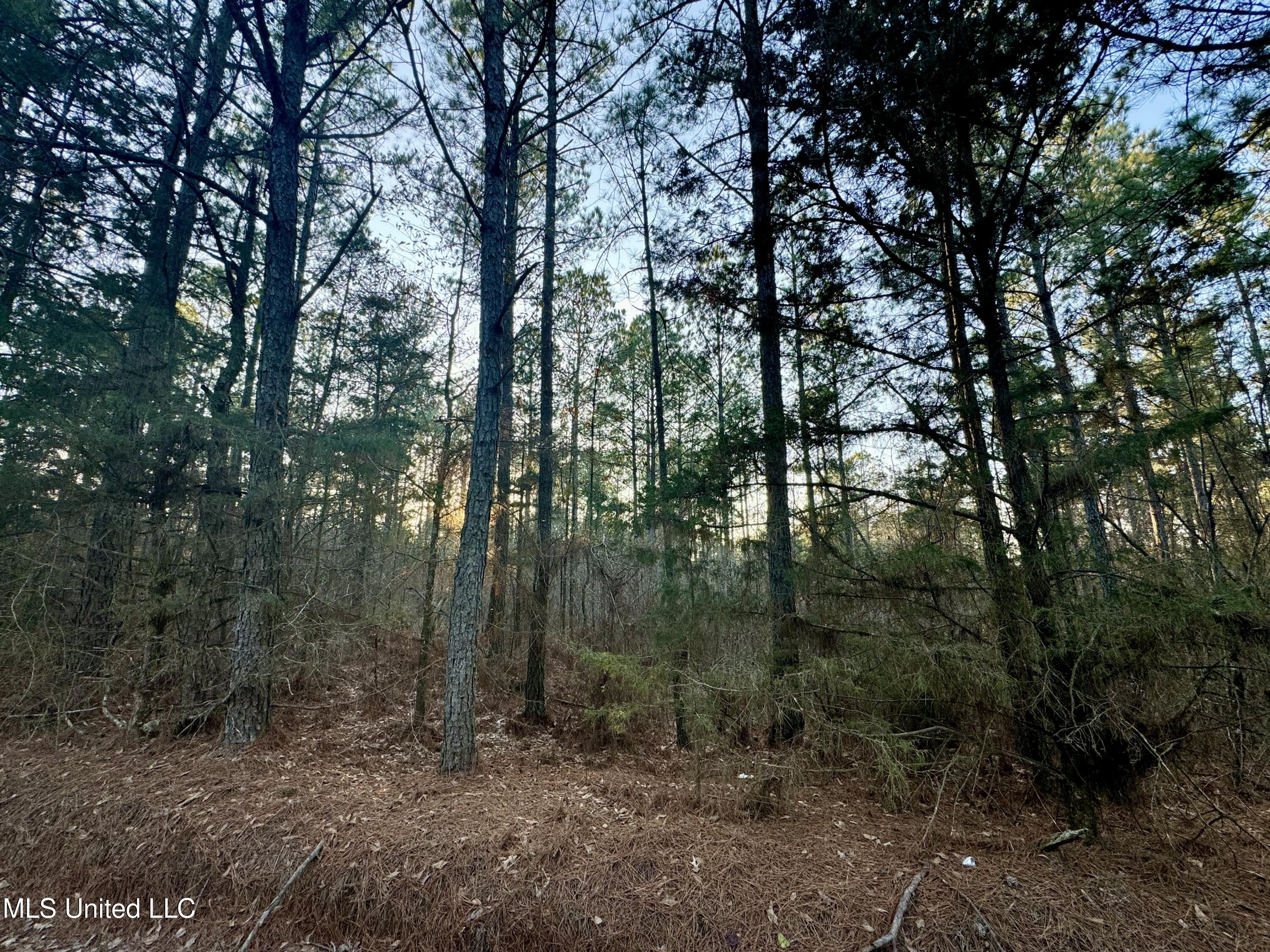 1113 County Road Kosciusko, MS 39090 - Photo 4 of 8 IMG_1127