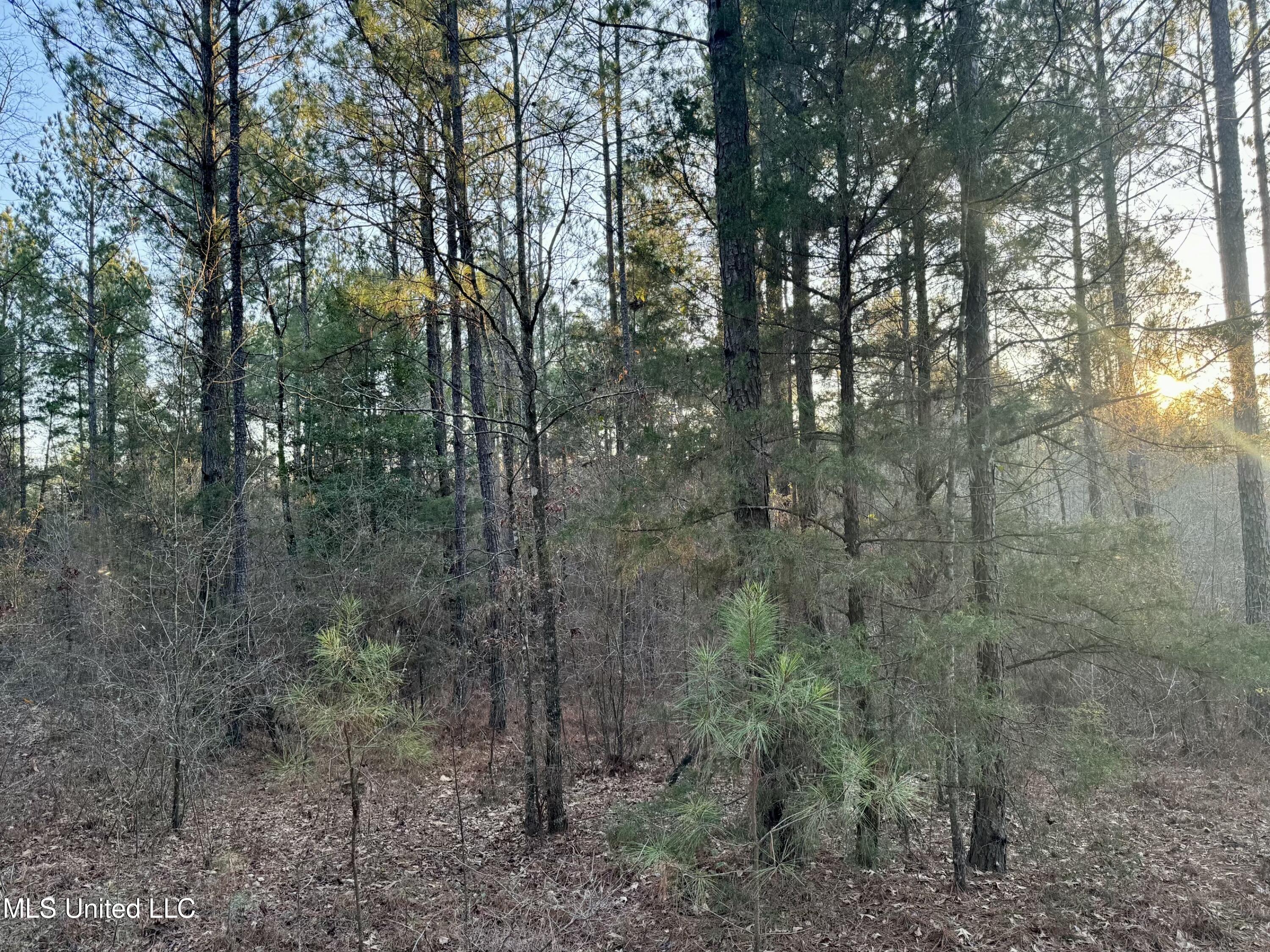 1113 County Road Kosciusko, MS 39090 - Photo 6 of 8 IMG_1129