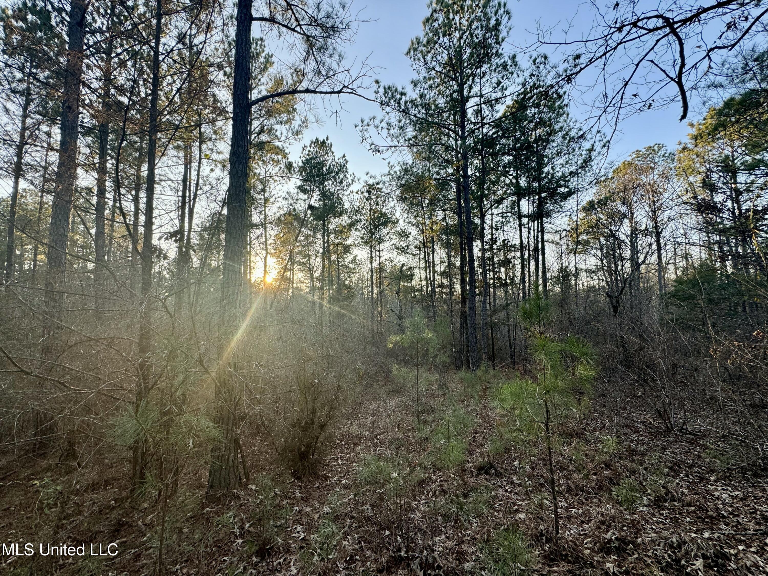 1113 County Road Kosciusko, MS 39090 - Photo 7 of 8 IMG_1130
